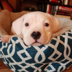 Meet your Posher, Kimberly